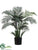Areca Palm Tree - Green - Pack of 4