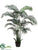 Areca Palm Tree - Green - Pack of 2