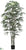 Rhapis Palm Tree - Green - Pack of 2