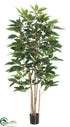 Silk Plants Direct Schefflera Tree - Green - Pack of 2