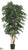 Sakaki Tree - Green Dark - Pack of 2