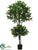 Shikiba Topiary Double Ball - Green - Pack of 2
