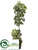 Schefflera Wall Plant - Green - Pack of 4