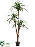 Silk Plants Direct Dracaena Tree - Variegated - Pack of 2