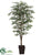 Mountain Laurel Tree - Green Two Tone - Pack of 2