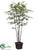 Black Bamboo Tree - Green Two Tone - Pack of 2