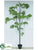 Wisteria Tree - Green - Pack of 1