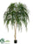 Weeping Willow Tree - Green Two Tone - Pack of 2