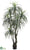 Yucca Tree - Green Two Tone - Pack of 2