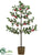Apple Tree - Red - Pack of 1