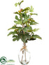 Silk Plants Direct Fig Branch - Green Burgundy - Pack of 2