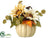 Sunflower, Pine Cone - Cream Honey - Pack of 6
