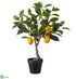 Silk Plants Direct Lemon Tree - Yellow Green - Pack of 2