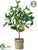 Silk Plants Direct Lemon Topiary - Yellow Green - Pack of 4