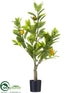 Silk Plants Direct Lemon Tree - Green - Pack of 4