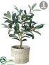 Silk Plants Direct Olive Tree - Green Burgundy - Pack of 6