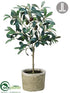 Silk Plants Direct Olive Tree - Green Burgundy - Pack of 6