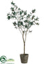 Silk Plants Direct Olive Tree - Green - Pack of 1