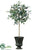 Silk Plants Direct Olive Topiary - Green Burgundy - Pack of 2