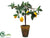 Lemon Topiary - Yellow - Pack of 2