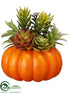 Silk Plants Direct Succulent in Pumpkin - Green Burgundy - Pack of 6