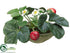 Silk Plants Direct Strawberry - Red - Pack of 4
