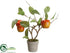 Silk Plants Direct Apple Tree - Red - Pack of 6