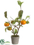 Silk Plants Direct Persimmon Tree - Orange Green - Pack of 6