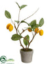 Silk Plants Direct Lemon Tree - Yellow - Pack of 6