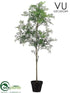 Outdoor Mini Aralia Tree - Green - Pack of 1