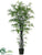 Black Bamboo Tree - Black - Pack of 1