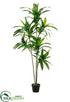 Silk Plants Direct Exotic Dracaena Tree Trunks - Green - Pack of 1