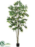 Silk Plants Direct Ficus Tree - Green - Pack of 1