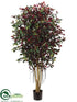 Silk Plants Direct Ficus Retusa Full Tree - Green Red - Pack of 1