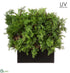 Silk Plants Direct UV Protected Ming Juniper, Twig Hedge - Green - Pack of 1