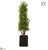 UV Protected Ming Cone Topiary - Green - Pack of 1