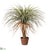 Desert Palm Tree - Green Beige - Pack of 1