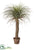 Desert Palm Tree - Green Beige - Pack of 1