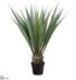 Silk Plants Direct Agave Americana - Green - Pack of 1