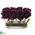Silk Plants Direct Blooming Roses - Purple Elegance - Pack of 1