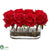 Silk Plants Direct Blooming Roses - Red - Pack of 1