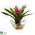 Silk Plants Direct Tropical Bromeliad - Purple - Pack of 1