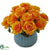Silk Plants Direct Rose - Orange Yellow - Pack of 1