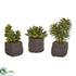 Silk Plants Direct Mixed Succulent Trio Artificial Plant - Pack of 1