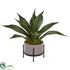 Silk Plants Direct Agave Succulent - Pack of 1