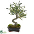 Silk Plants Direct Mini Olive Artificial Bonsai Tree - Pack of 1