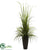 Silk Plants Direct River Grass - Pack of 1
