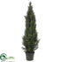Silk Plants Direct Mini Cedar Pine Tree - Green - Pack of 1