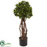 Silk Plants Direct English Ivy Topiary - Pack of 1