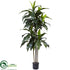 Silk Plants Direct Dracaena Plant - Pack of 1